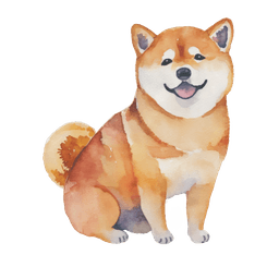 Shiba illustration